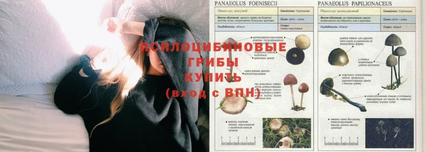 гашик Заволжье